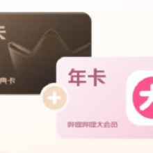PLUS+哔哩哔哩大会员联名年卡