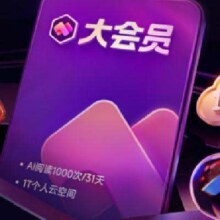 plus会员：WPS大会员2年卡 含超级会员所有功能+WPS AI +凑单