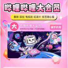 Bilibili 哔哩哔哩大会员 大会员年卡12个月