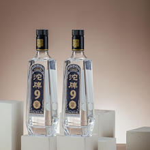 沱牌酒T88沱牌50度480ml*2瓶光瓶