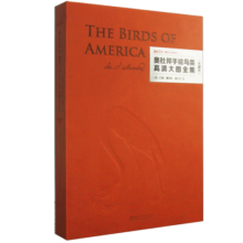 奥杜邦手绘鸟类高清大图全集（典藏版）美国鸟类 北美的鸟类