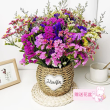 ToSpring  混色勿忘我插花鲜花300-400g