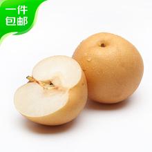 京鲜生 长城羊脂秋月梨 5斤 单果260g+大果 源头直发包邮
