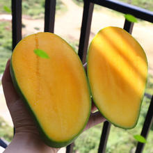 果迎鲜 四川凯特芒 新鲜水果 芒果 净果4.5斤整箱5斤装