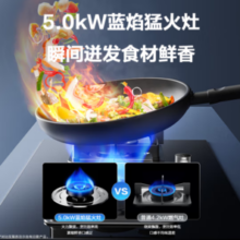 SUPOR 苏泊尔 JZT-B15 燃气灶 5.0KW 天然气