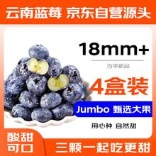 20日0点：国产蓝莓 4盒装 果径18mm+