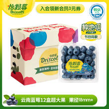 Driscoll's 怡颗莓 当季云南蓝莓Jumbo超大果18mm+12盒原箱装125g/盒