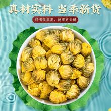 朕皇 北京同仁堂菊花胎菊花草茶花蕾枸杞金银花茶健康泡水60g