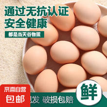 无抗鲜鸡蛋 谷物喂养鸡蛋 50g-60g 30枚装