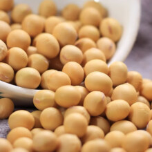 【京东快递】2024年新黄豆 黄豆500g*2袋