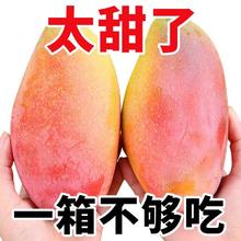 海南 三亚 贵妃芒 5斤 中果 香甜爆汁