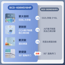 容声（Ronshen）608升离子净味双开门对开门家用一级能效变频风冷无霜超大容量可嵌入电冰箱以旧换新国家补贴20% 【墨韵灰608升 双变频】水润自然风 离子除菌净味