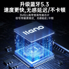 绿巨能（llano）USB蓝牙适配器5.3 蓝牙接收器发射器免驱笔记本电脑台式机外置模块音频音响打印无线耳机