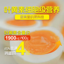 蛋鲜森 叶黄素可生食鸡蛋 30枚1350g