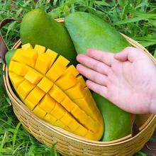 凑单到手13越南金煌芒果整箱5斤