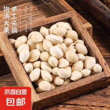 江苏银杏果白果 【普通装】500g