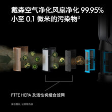 戴森（DYSON）TP09空气净化风扇 整机H13密封空气循环 持久监测 长效除醛 除异味 白金色