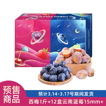 京鲜生 智利西梅 净重1斤+蓝莓12盒（15mm+）125g/盒 水果礼盒