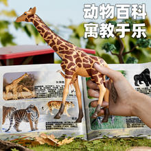 澳梦星动物模型仿真儿童益智玩具