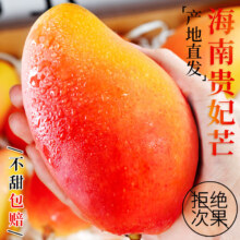 庾丰海南贵妃芒果 现摘 10斤（净果9斤）单果100g+