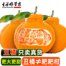 生活＆好管家 Chamberlain 四川不知火丑橘新鲜水果丑八怪丑柑应季橘子整箱特大果柑橘 优选级市场果 (70mm+)中果净重4斤装