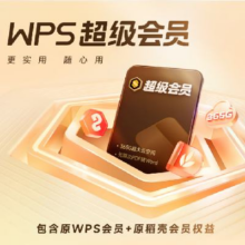 PLUS会员： WPS 超级会员14个月（1年+2个月）