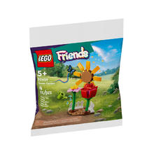 乐高 LEGO 30659缤纷花园 拼接积木玩具 礼物