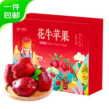 京鲜生 甘肃天水花牛苹果 净重8.5斤 单果210g起 生鲜水果 源头直发