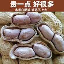 龙岩特产水煮白晒咸干带壳花生蒜香500g