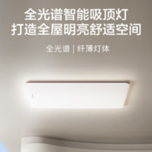 20点！Panasonic  松下 吸顶 咖色现代极简风140瓦 HHXQX163