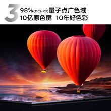 TCL Q10K65英寸 Pro Mini LED电视 安装服务含挂架
