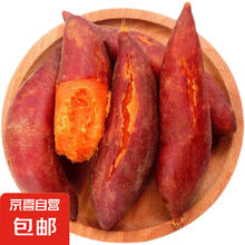 蜜红薯沙地地瓜 小薯香薯红苕 5斤 新鲜蔬菜 产地直发