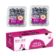 20点、plus会员：佳沃（joyvio）云南蓝莓sekoya系列 22mm+巨无霸 4盒装 约125g/盒 生鲜水果*2件