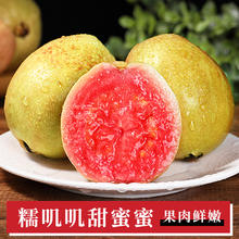 探味君 广西红心芭乐 5斤