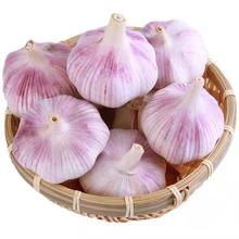 特价金乡紫皮大蒜头干蒜批发新鲜特大号红皮大蒜子便宜蔬菜