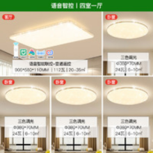 雷士照明NVC 语音智能遥控吸顶灯客厅灯卧室灯吊灯灯具套餐浪漫满天星现代简约灯具客厅吸顶灯组合