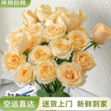 鲜花 云南鲜花玫瑰百合 香槟（蜜桃雪山）-10支