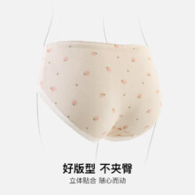 芬腾 女纯棉内裤 A类100%棉7A抗菌三角底裤  10条装
