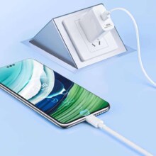 雷珞克120W 单线0.25米【6A超级快充线】