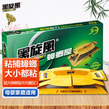 黑旋风 black swirl-wind black swirl wind 黑旋风 家用蟑螂屋杀蟑胶饵灭蟑螂贴 无农药成分捕捉器 3片装