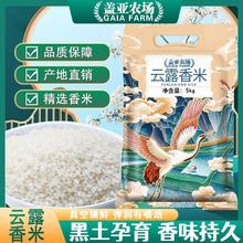 百亿补贴：盖亚农场 云露香米5kg真空装东北大米稻香米黑龙江新米兴凯湖大米