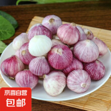 20点开始：云南紫皮独头蒜 专享14个 40g 单果2cm左右 *2件（买一送一）