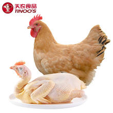 天农 清远竹林走地鸡800g 生鲜食材