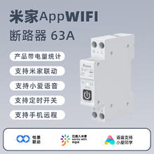德路普 已接入米家断路器通断器定时开关手机远程遥控空开大功率水泵控制 已接入米家APP-1P+N63A带计量
