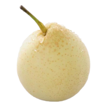 京喜加 赵州水晶鸭梨 带箱4斤特惠装（单果160g+）