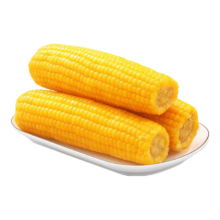 甜糯黄玉米 4棒 单棒均重>200g