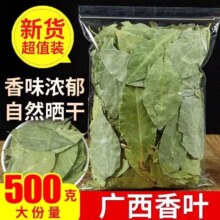 广西新货香叶无硫 50g