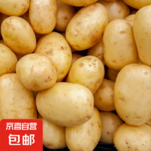 75%概率：云南高原黄皮土豆 现挖现发 带箱9-10斤大果