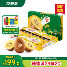 佳沛 新西兰 阳光金奇异果巨大果22粒原箱 单果重约146-175g