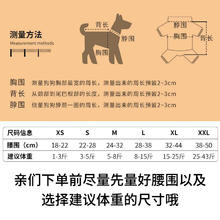 雪山之星 宠物狗狗生理裤泰迪姨妈巾月经期防骚扰小狗安全纸尿裤狗尿不湿母